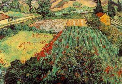 <b>Field with Poppies</b> - 1889 (300 Kb); Oil on canvas, 71 x 91 cm (28 x 35 3/4 in); Kunsthalle Bremen